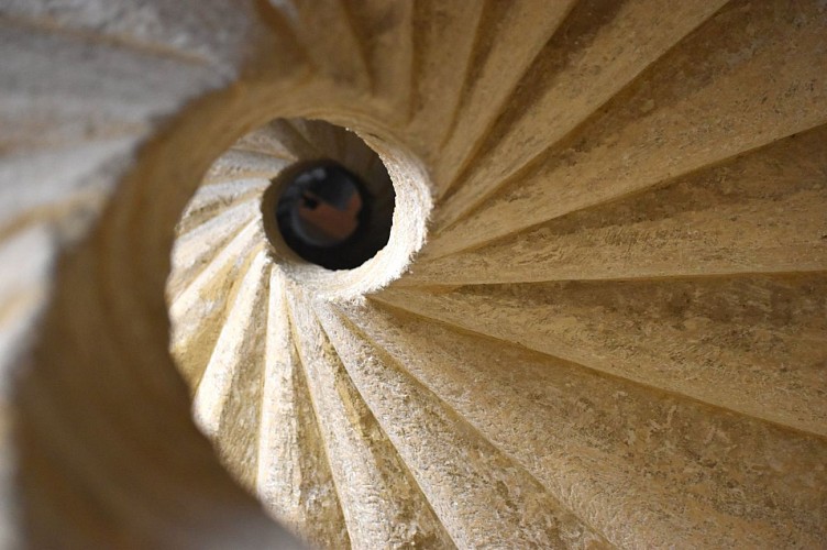 Geologische Reise ins Herz der Stadt Uzès - Geführte Tour Uzès, Stadt der Kunst und Geschichte