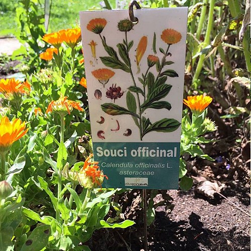 Le Couvent des Carmes