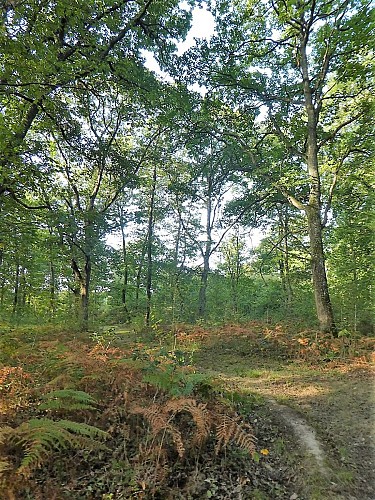 Un Grand Vert d'Armagnac Confidentiel : le voyage 2 en 1