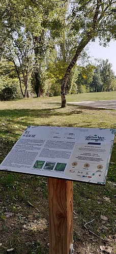 Un Grand Vert d'Armagnac Confidentiel : le voyage 2 en 1