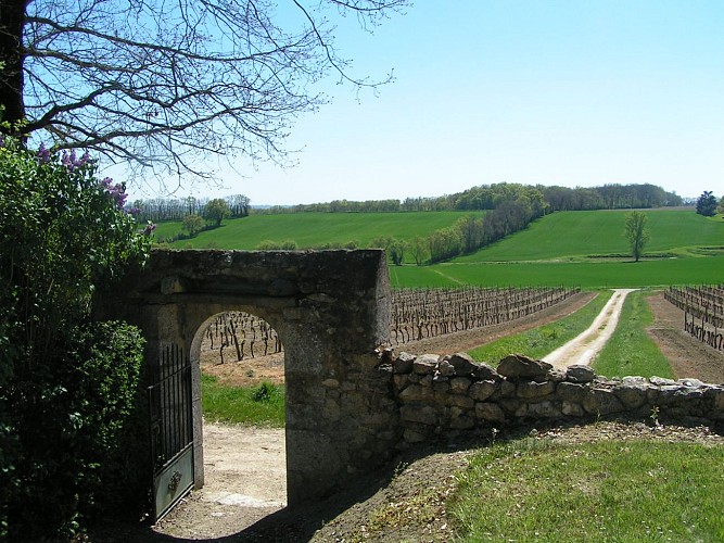 Un Grand Vert d'Armagnac Confidentiel : le voyage 2 en 1