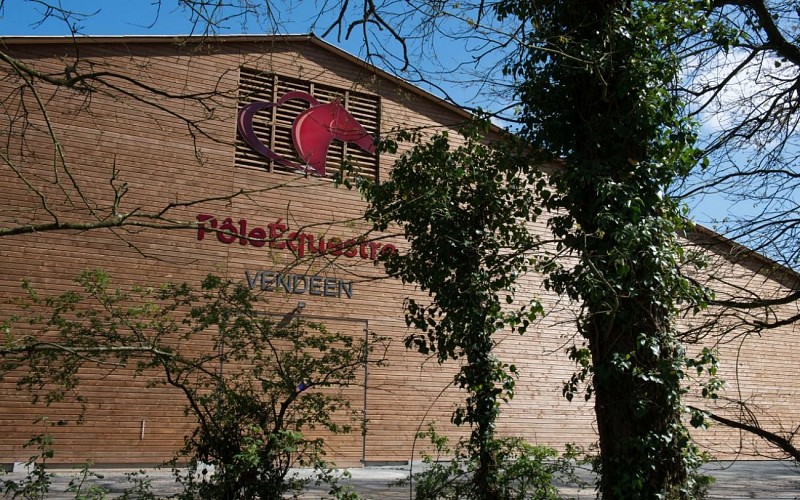 Stage de saut d'obstacles