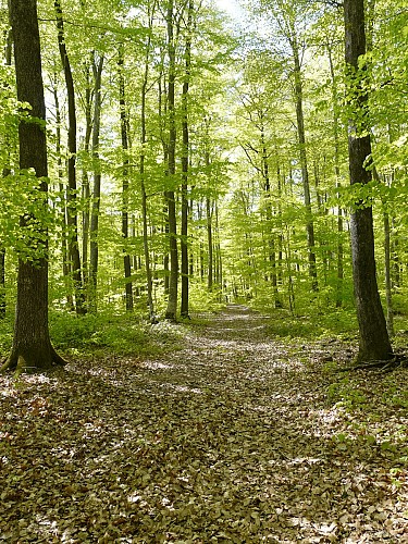 Chez nous, on SPORTe bien ! Version Trail 2 jours 1 nuit