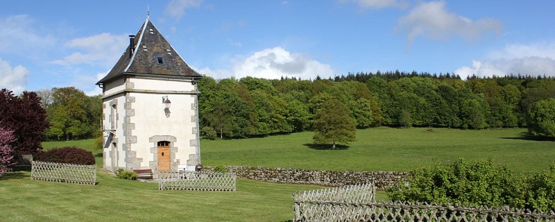 image15
