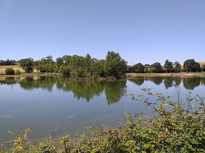 Pêche à l'étang de Montréal