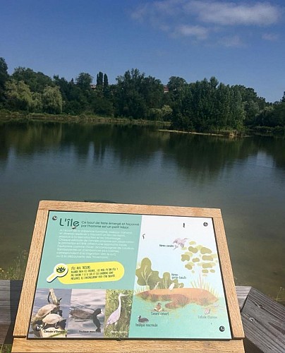 Pêche à l'étang de Montréal