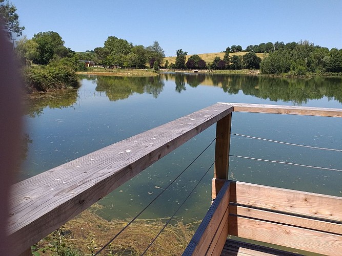 Pêche à l'étang de Montréal