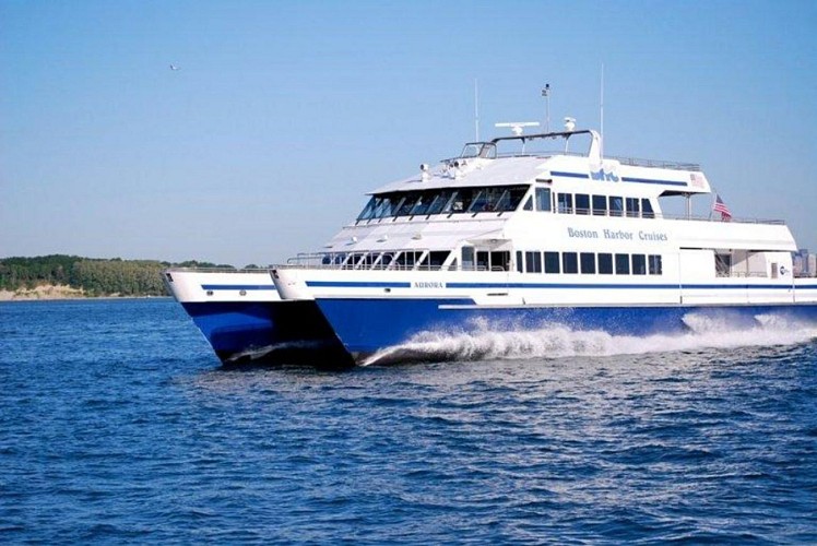 Croisière d’observation des baleines à Boston