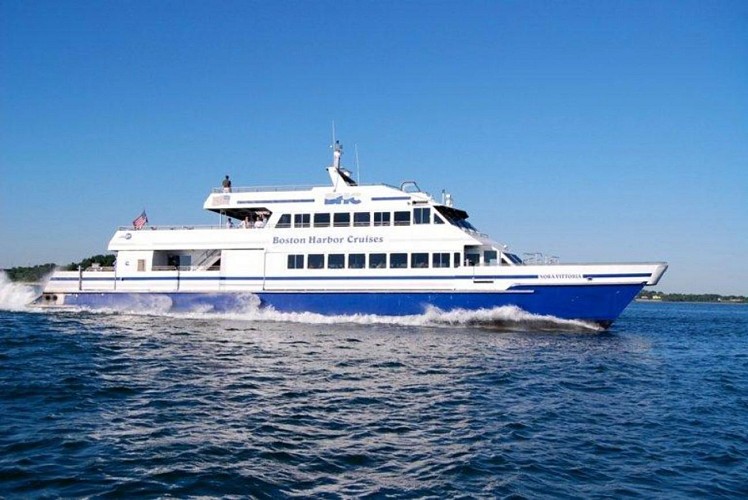 Croisière d’observation des baleines à Boston