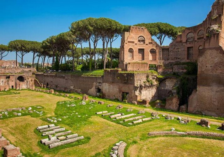 Guided Tour of The Colosseum,  The Forum & The Palatine Hill – Skip-the-line ticket