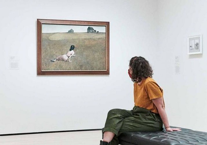 Besichtigung des MoMA, das berühmteste Museum für Moderne Kunst von New York - Ticket ohne Anstehen