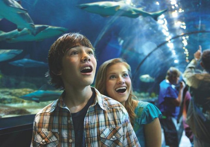 Billet SeaWorld San Diego – Coupe-file à l'entrée