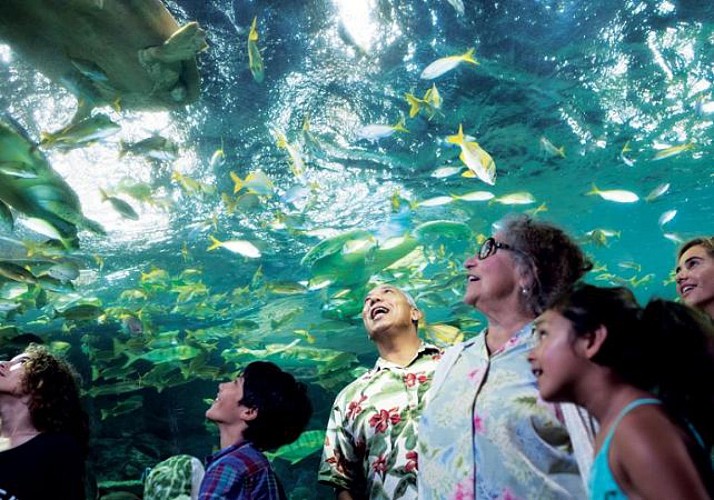 Billet SeaWorld San Diego – Coupe-file à l'entrée