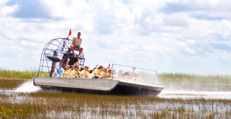 Visita a los Everglades en hidrodeslizador e interacción con los caimanes