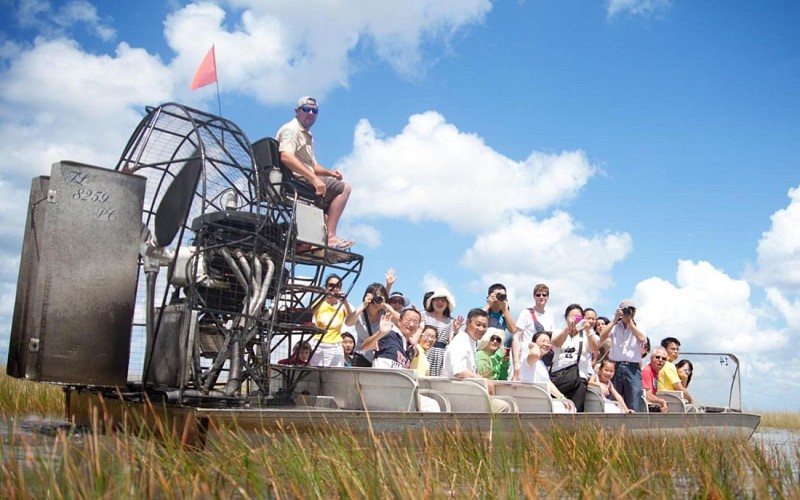 Visita a los Everglades en hidrodeslizador e interacción con los caimanes