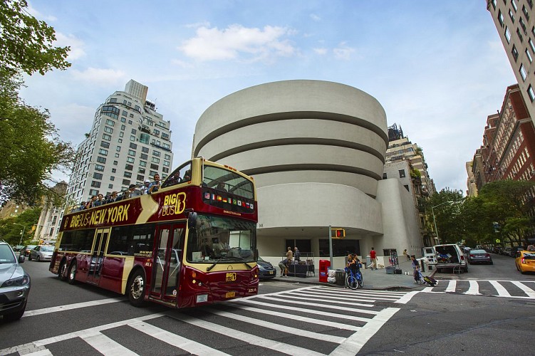 Tour de Nueva York en autobús con paradas múltiples - Pase de 1, 2 o 3 días Uptown & Downtown Manhattan