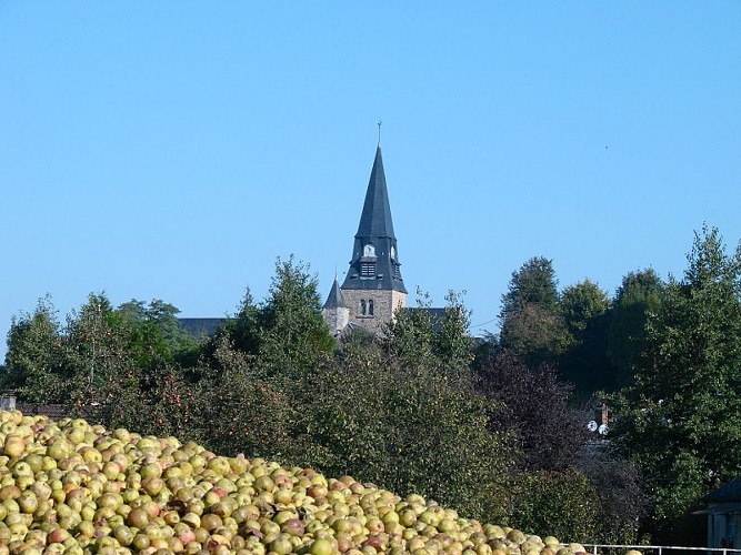 Pommes Distillerie Busnel © Eure Tourisme , E. Rangée