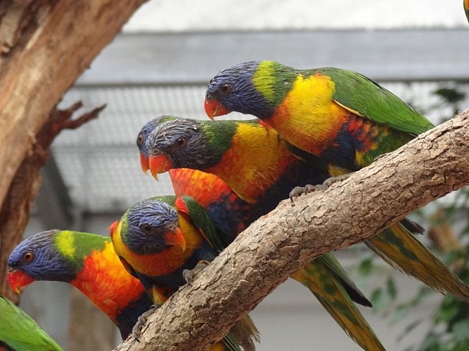 Jardins animaliers Biotropica © Eure Tourisme, C. Michaud