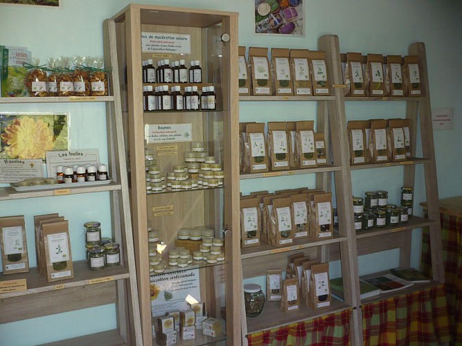 Plantes du Cul du Bois