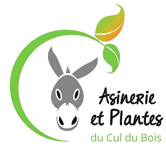 Plantes du Cul du Bois