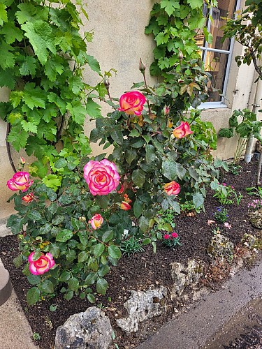 Le Faubourg - Noyers