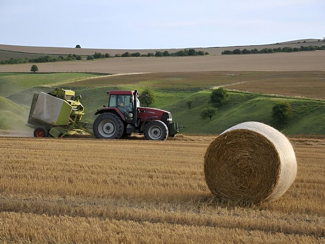 Tracteur dans un champ, rouleau de paille
