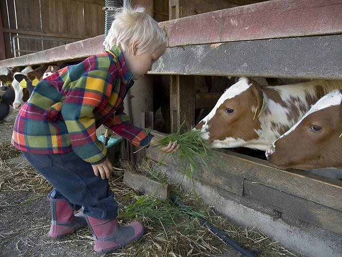 Enfant à la ferme