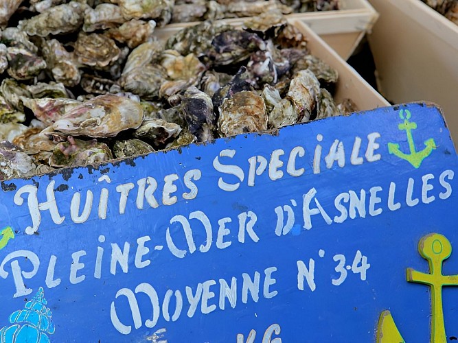 Calvados_Huîtres d'Asnelles