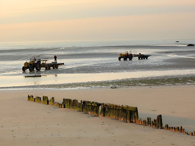 ASNELLES_Parcs à huîtres