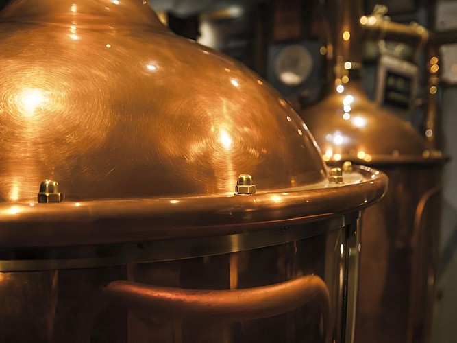Visite d'une brasserie
