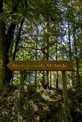 20200805_OT_PaysdeVire_LMACH_Forêt_Saint-Sever-17