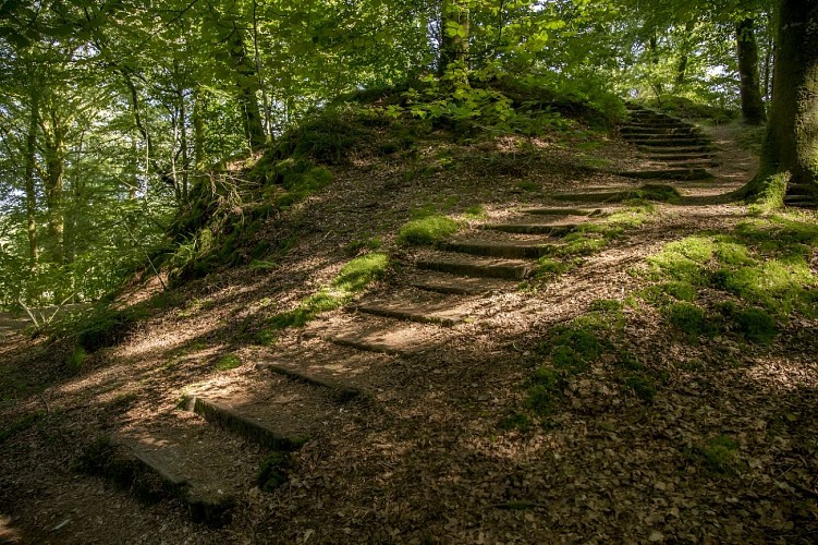 Ancien château Foret de St Sever