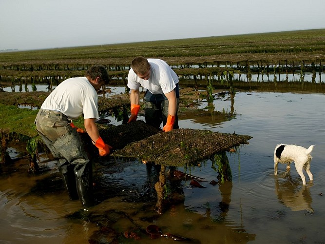 Etablissements Aimard Vincent
