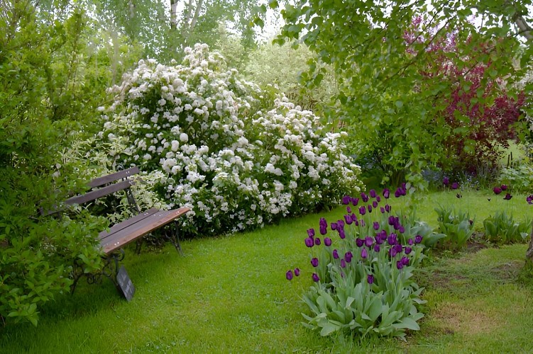 le lieu de rendez-vous