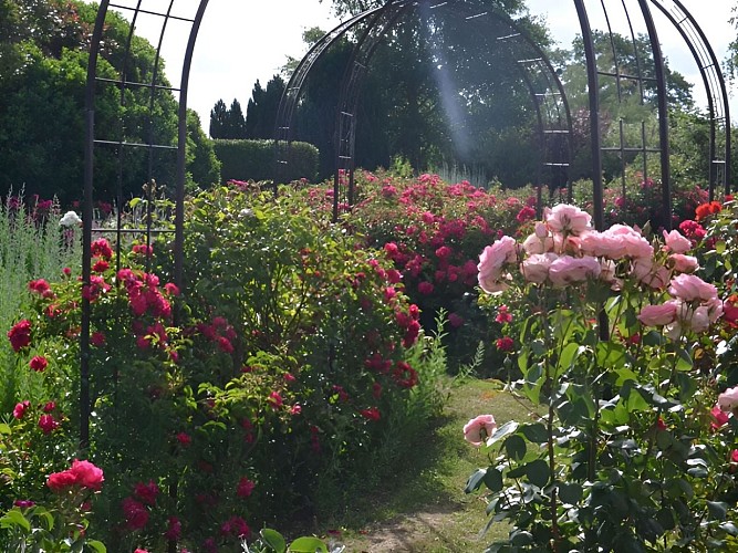 jardin-manou-rosiers-percy-