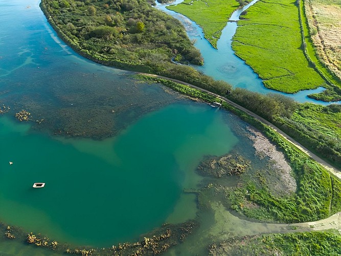 Baie de l'Orne, les terrains François