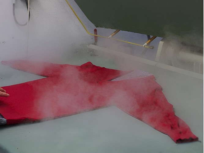 SAS Bernard Philips (4)