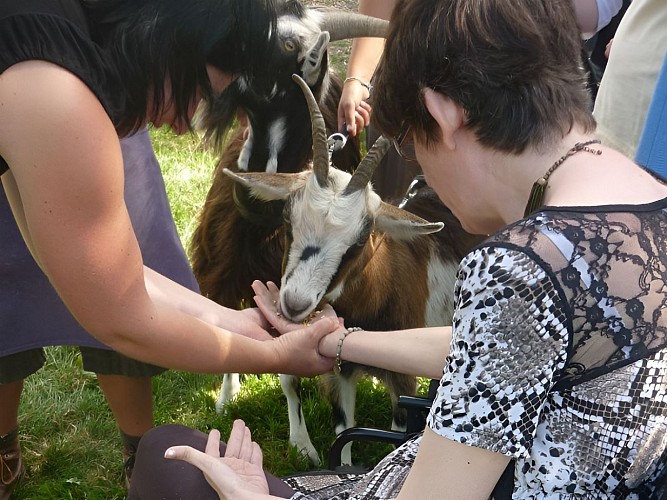 La Ferme de D'Jo (3)