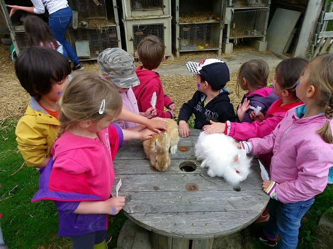 la Ferme de D'Jo (3)