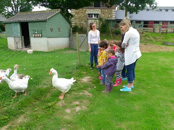 la Ferme de D'Jo (2)