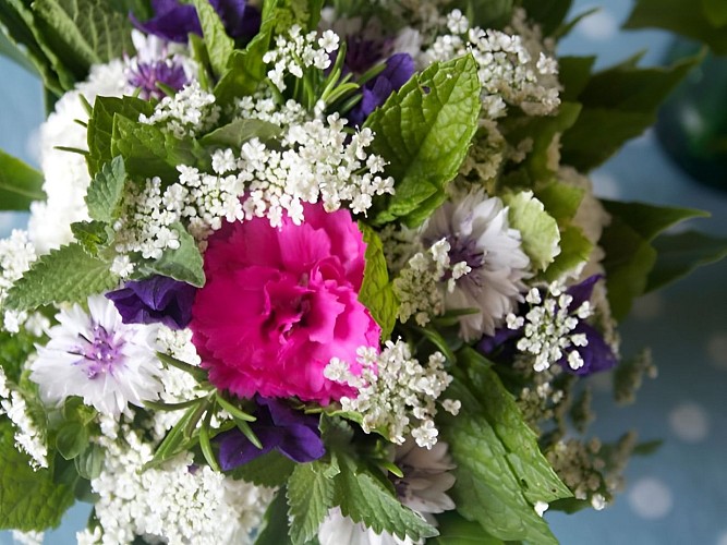 Tea Garden à Sallen