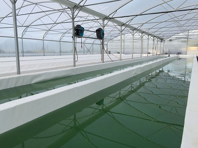 bassins la micro ferme du ham