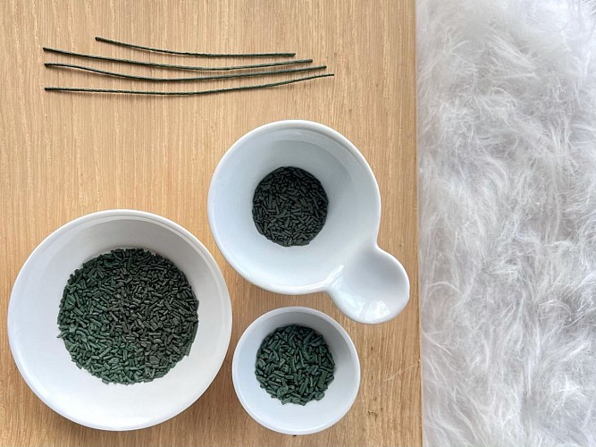 Brindilles spiruline de normandie
