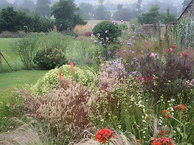 Jardin d'Alison Sykes à Viessoix (TIS6)