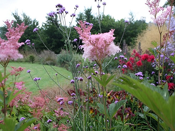 Jardin d'Alison Sykes à Viessoix (TIS1)