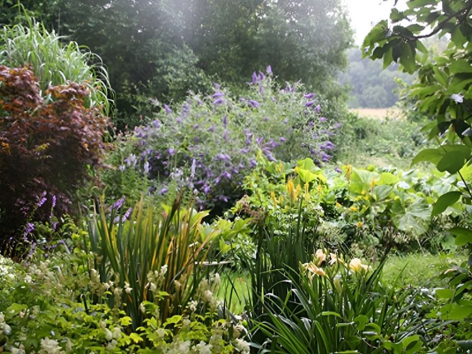 Jardin d'Alison Sykes à Viessoix (TIS4)