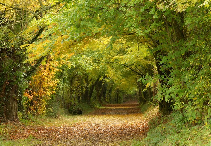 La-Pommeraye-4-G-Wait