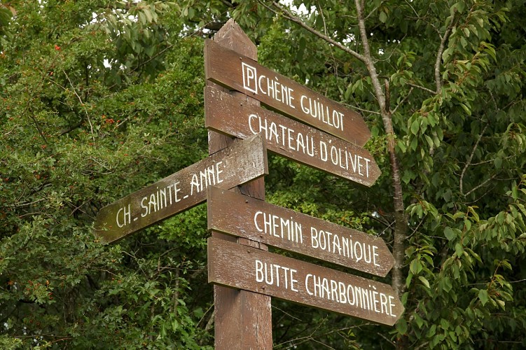 Foret-Grimbosq-1-2