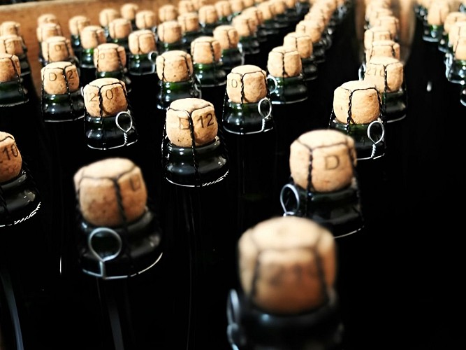 la compagnie des terroirs_bouteilles