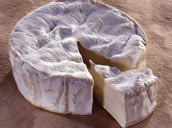 la compagnie des terroirs_camembert